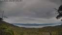 ./images/calvert/fitz-hugh-hecate/20250616/fitz-hugh-hecate20250616_173009M.jpg