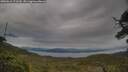 ./images/calvert/fitz-hugh-hecate/20250616/fitz-hugh-hecate20250616_173509M.jpg