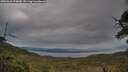 ./images/calvert/fitz-hugh-hecate/20250616/fitz-hugh-hecate20250616_174010M.jpg