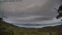 ./images/calvert/fitz-hugh-hecate/20250616/fitz-hugh-hecate20250616_174508M.jpg