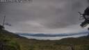 ./images/calvert/fitz-hugh-hecate/20250616/fitz-hugh-hecate20250616_175510M.jpg