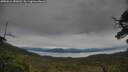 ./images/calvert/fitz-hugh-hecate/20250616/fitz-hugh-hecate20250616_180013M.jpg