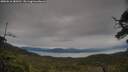 ./images/calvert/fitz-hugh-hecate/20250616/fitz-hugh-hecate20250616_180510M.jpg