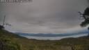 ./images/calvert/fitz-hugh-hecate/20250616/fitz-hugh-hecate20250616_181009M.jpg
