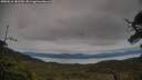./images/calvert/fitz-hugh-hecate/20250616/fitz-hugh-hecate20250616_181510M.jpg