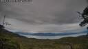 ./images/calvert/fitz-hugh-hecate/20250616/fitz-hugh-hecate20250616_182509M.jpg