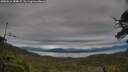 ./images/calvert/fitz-hugh-hecate/20250616/fitz-hugh-hecate20250616_184007M.jpg