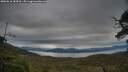 ./images/calvert/fitz-hugh-hecate/20250616/fitz-hugh-hecate20250616_184510M.jpg