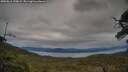 ./images/calvert/fitz-hugh-hecate/20250616/fitz-hugh-hecate20250616_190009M.jpg