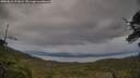 ./images/calvert/fitz-hugh-hecate/20250616/fitz-hugh-hecate20250616_191009M.jpg