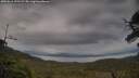 ./images/calvert/fitz-hugh-hecate/20250616/fitz-hugh-hecate20250616_191509M.jpg