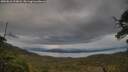 ./images/calvert/fitz-hugh-hecate/20250616/fitz-hugh-hecate20250616_193008M.jpg