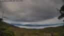 ./images/calvert/fitz-hugh-hecate/20250616/fitz-hugh-hecate20250616_193509M.jpg