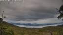 ./images/calvert/fitz-hugh-hecate/20250616/fitz-hugh-hecate20250616_194009M.jpg