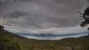 ./images/calvert/fitz-hugh-hecate/20250616/fitz-hugh-hecate20250616_195508M.jpg