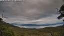 ./images/calvert/fitz-hugh-hecate/20250616/fitz-hugh-hecate20250616_200010M.jpg