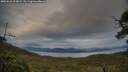 ./images/calvert/fitz-hugh-hecate/20250616/fitz-hugh-hecate20250616_203008M.jpg