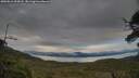 ./images/calvert/fitz-hugh-hecate/20250616/fitz-hugh-hecate20250616_204508M.jpg