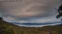 ./images/calvert/fitz-hugh-hecate/20250616/fitz-hugh-hecate20250616_205508M.jpg