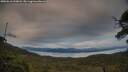 ./images/calvert/fitz-hugh-hecate/20250616/fitz-hugh-hecate20250616_210007M.jpg