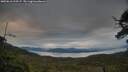 ./images/calvert/fitz-hugh-hecate/20250616/fitz-hugh-hecate20250616_210506M.jpg