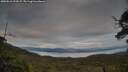 ./images/calvert/fitz-hugh-hecate/20250616/fitz-hugh-hecate20250616_211007M.jpg