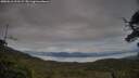 ./images/calvert/fitz-hugh-hecate/20250616/fitz-hugh-hecate20250616_211508M.jpg