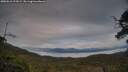 ./images/calvert/fitz-hugh-hecate/20250616/fitz-hugh-hecate20250616_212009M.jpg