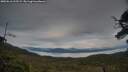 ./images/calvert/fitz-hugh-hecate/20250616/fitz-hugh-hecate20250616_212509M.jpg