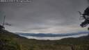 ./images/calvert/fitz-hugh-hecate/20250616/fitz-hugh-hecate20250616_213508M.jpg