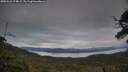 ./images/calvert/fitz-hugh-hecate/20250616/fitz-hugh-hecate20250616_214009M.jpg