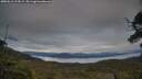 ./images/calvert/fitz-hugh-hecate/20250616/fitz-hugh-hecate20250616_214509M.jpg