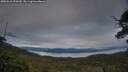 ./images/calvert/fitz-hugh-hecate/20250616/fitz-hugh-hecate20250616_215009M.jpg