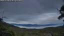 ./images/calvert/fitz-hugh-hecate/20250616/fitz-hugh-hecate20250616_215508M.jpg