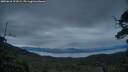 ./images/calvert/fitz-hugh-hecate/20250616/fitz-hugh-hecate20250616_221008M.jpg