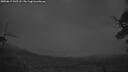 ./images/calvert/fitz-hugh-hecate/20250617/fitz-hugh-hecate20250617_042508M.jpg