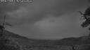 ./images/calvert/fitz-hugh-hecate/20250617/fitz-hugh-hecate20250617_044506M.jpg