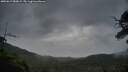 ./images/calvert/fitz-hugh-hecate/20250617/fitz-hugh-hecate20250617_053009M.jpg