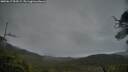./images/calvert/fitz-hugh-hecate/20250617/fitz-hugh-hecate20250617_054507M.jpg