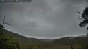 ./images/calvert/fitz-hugh-hecate/20250617/fitz-hugh-hecate20250617_055007M.jpg