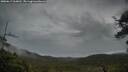 ./images/calvert/fitz-hugh-hecate/20250617/fitz-hugh-hecate20250617_060011M.jpg