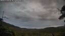 ./images/calvert/fitz-hugh-hecate/20250617/fitz-hugh-hecate20250617_060510M.jpg