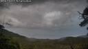 ./images/calvert/fitz-hugh-hecate/20250617/fitz-hugh-hecate20250617_061509M.jpg