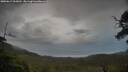 ./images/calvert/fitz-hugh-hecate/20250617/fitz-hugh-hecate20250617_062011M.jpg
