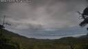 ./images/calvert/fitz-hugh-hecate/20250617/fitz-hugh-hecate20250617_062510M.jpg