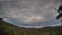 ./images/calvert/fitz-hugh-hecate/20250617/fitz-hugh-hecate20250617_063009M.jpg