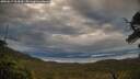 ./images/calvert/fitz-hugh-hecate/20250617/fitz-hugh-hecate20250617_064510M.jpg