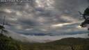 ./images/calvert/fitz-hugh-hecate/20250617/fitz-hugh-hecate20250617_071009M.jpg