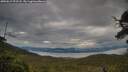 ./images/calvert/fitz-hugh-hecate/20250617/fitz-hugh-hecate20250617_072508M.jpg