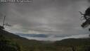./images/calvert/fitz-hugh-hecate/20250617/fitz-hugh-hecate20250617_074010M.jpg